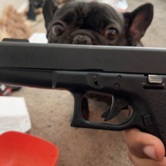 RSL ARLO