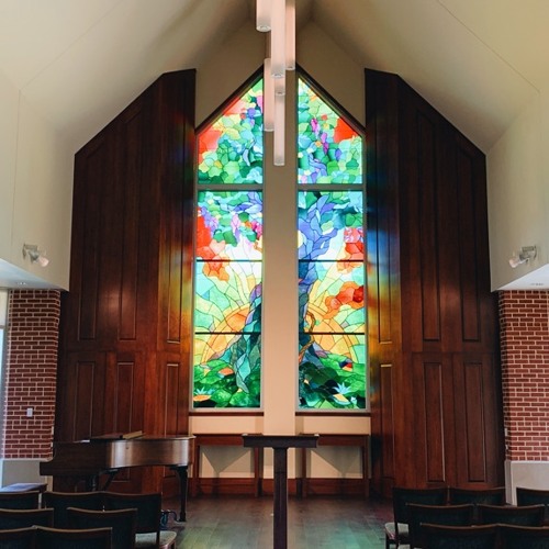 Baylor Chapel’s avatar