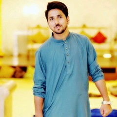 Malik_ZahidZia