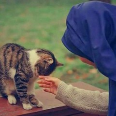 Asmaa Mohamed