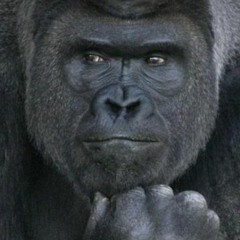 MonkeyMan