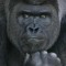 MonkeyMan