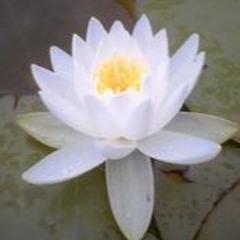 Ekvastra
