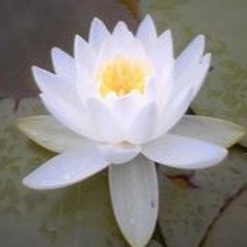 Yugon Yugon Se