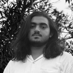 Mehrad Naserzare