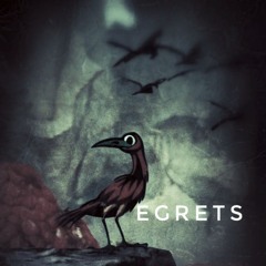 egrets