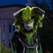 Kael.Fang
