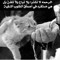 Ahmed Samir