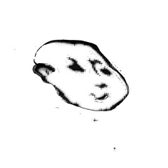 𝒅𝒓𝒆𝒂𝒎𝒂𝒓𝒊𝒍𝒍𝒊𝒐𝒏
