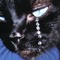 Fantomas