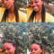 Eunice Dezimata
