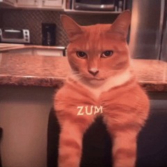 ! <3 Bunii and wifi skeleton