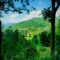 kashmir