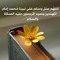 اهل الجنه