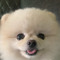 서정은