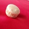 Macaroon