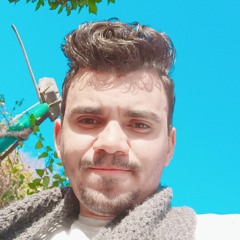 Mohamed Shawky