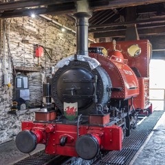Talyllyn Boi