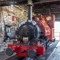 Talyllyn Boi