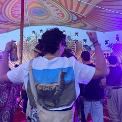 Camtaro