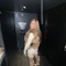 Savanah27_x