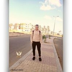 Ahmed Walied