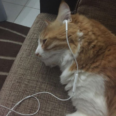 𝑵𝒂𝒉𝒍𝒂 𝑴𝒐𝒉𝒂𝒎𝒆𝒅