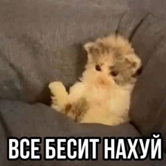 Данила Мудрак