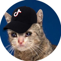 @JUSTcatmeme