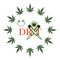 DR T
