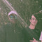 jjjared_111