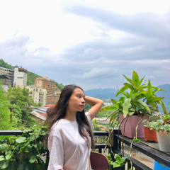 Tường Vi
