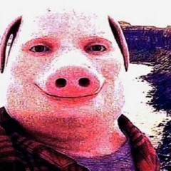 Liceb Niek