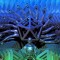 Metadimensional