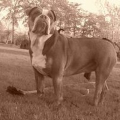 Martha Louise de Maar