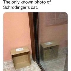 FlopTheWorld SaveLife