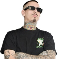 Max Vitelli
