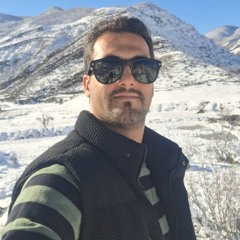 delavari_arash