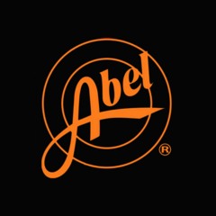 ABEL RODRIGUEZ