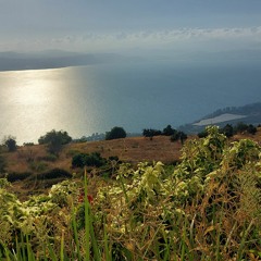 עמיקו ועץ וטבע