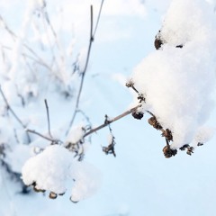 Tvåmannakalas(1)