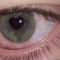 vlexrefrain