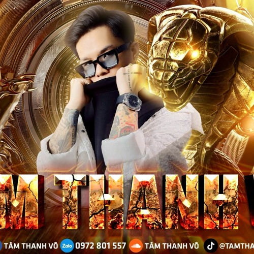 Tâm Thanh Võ ( acc Phụ ) 1’s avatar