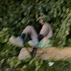 Buisson