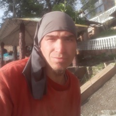 artemo orrego piñeros