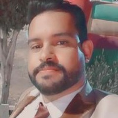 رضا البحراوى