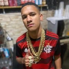 Sallys Trem