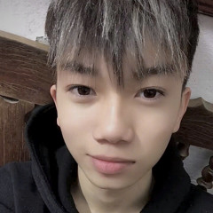 Nguyen Huy Vu