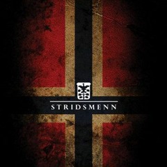 Stridsmenn