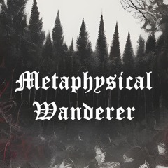 Metaphysical Wanderer